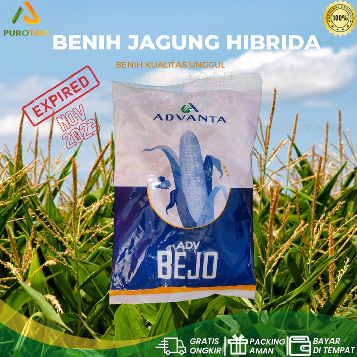 Benih Jagung Hibrida ADV Bejo 1KG