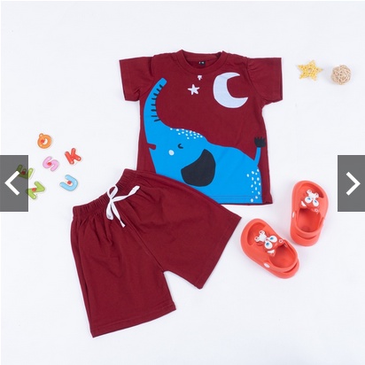SETELAN ANAK COWOK ANIMAL / SET ANAK LAKI LAKI ANIMAL1-5 THN