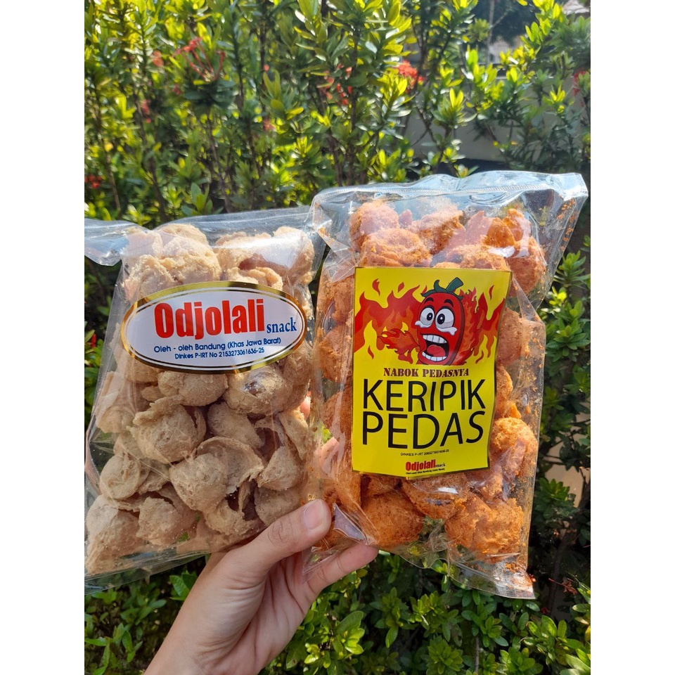 

KERIPIK TAHU