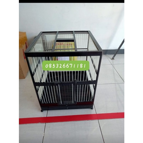 sangkar ayam hutan/ayam,hias,lainya