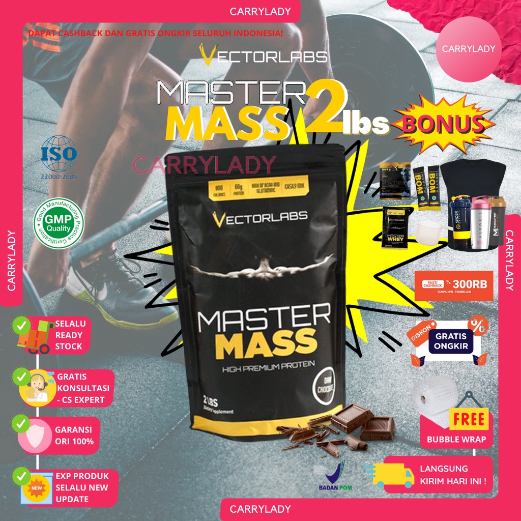 VECTORLABS GAINER VL MASTERMASS MASTER MASS 2LB 2 LB 2LBS 2 LBS 900 GRAM VECTOR LABS SUSU FITNESS WEIGHT GAINER MURAH BPOM HALAL GYM