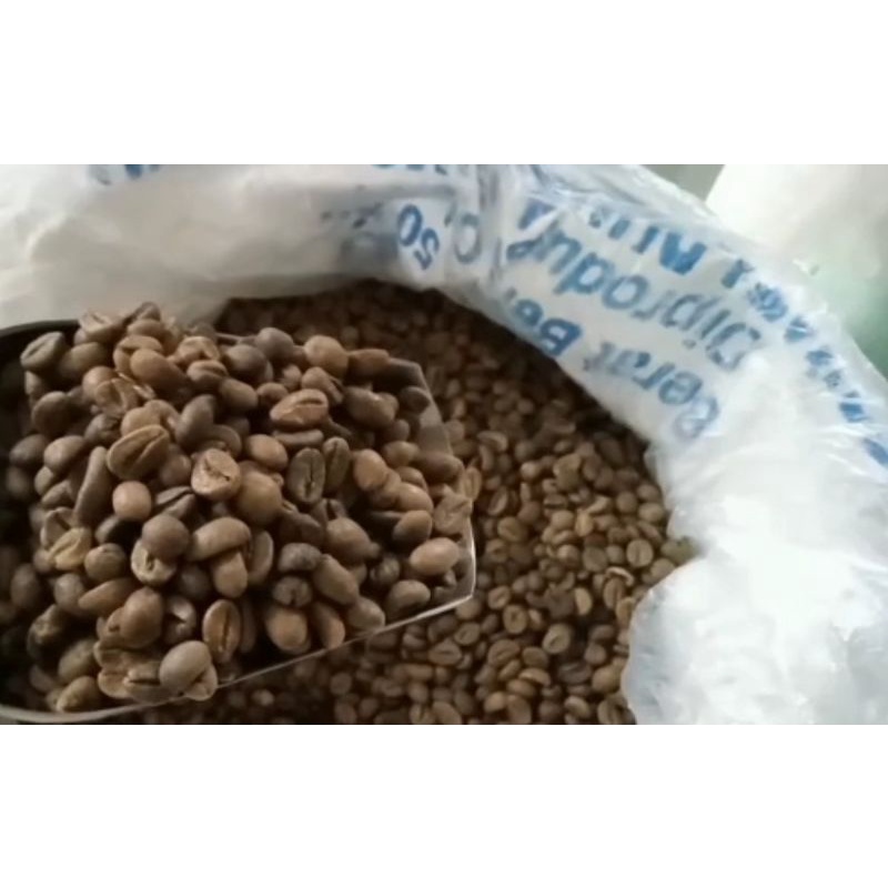 Green Bean Biji Kopi mentah Robusta Wine Pagar Alam 1kg