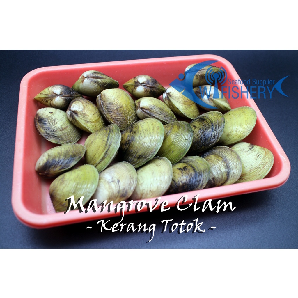Kerang Totok