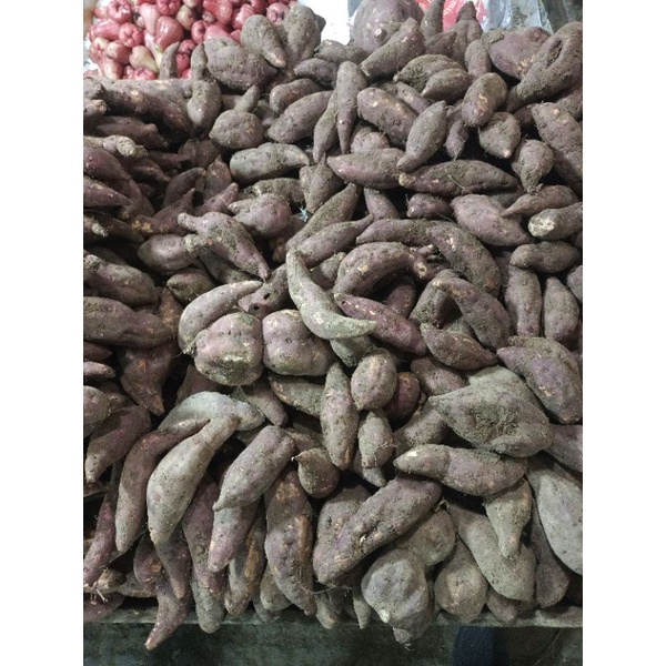 

ubi per 1kg