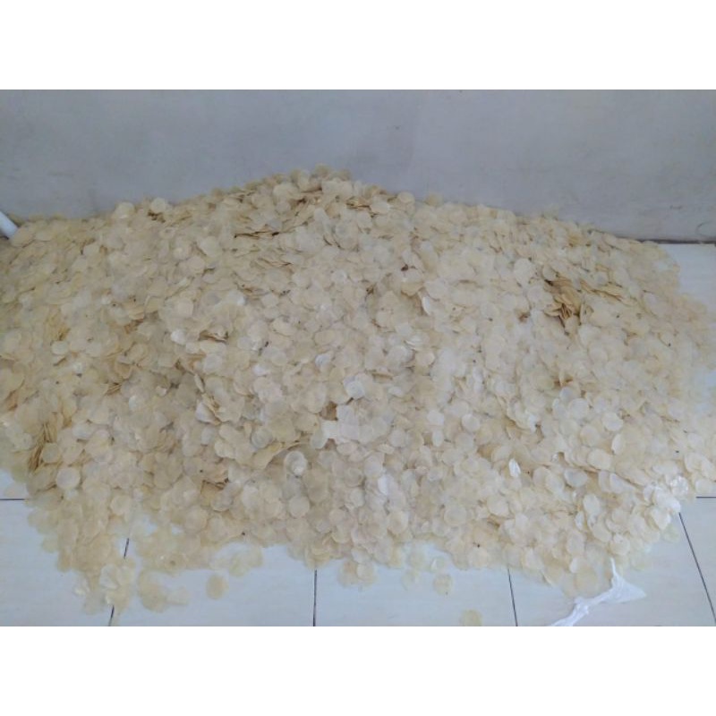 

EMPING MELINJO MENTAH SUPER TIPIS ORIGINAL KHAS LIMPUNG SIAP GORENG 500gram