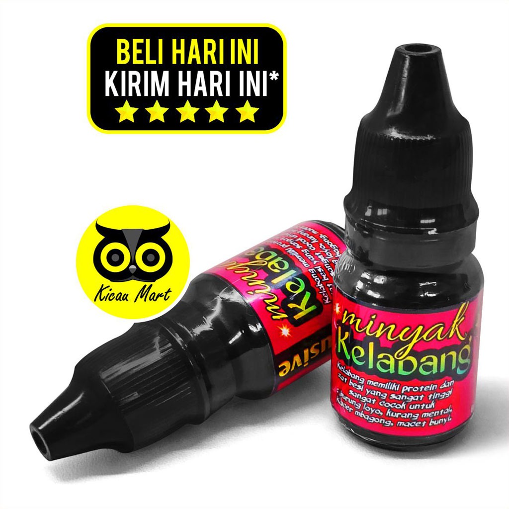 Vitamin Burung Minyak Kelabang Murni Doping Obat Penggacor Murai Batu Pleci Cucak Ijo Branjangan Hwamei Trucuk Konin Kolibri Ninja Kacer Anis Dll