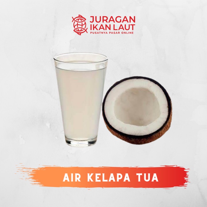 

Air Kelapa Tua Segar Berkulitas - 1 Bungkus