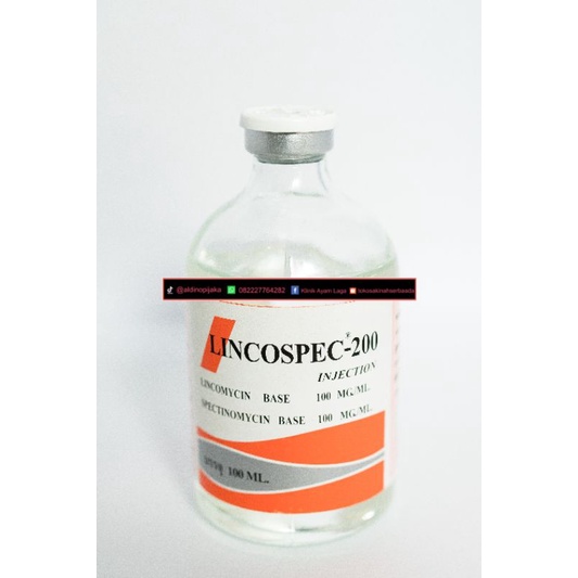 LINCOSPEC 200 ORIGINAL Import