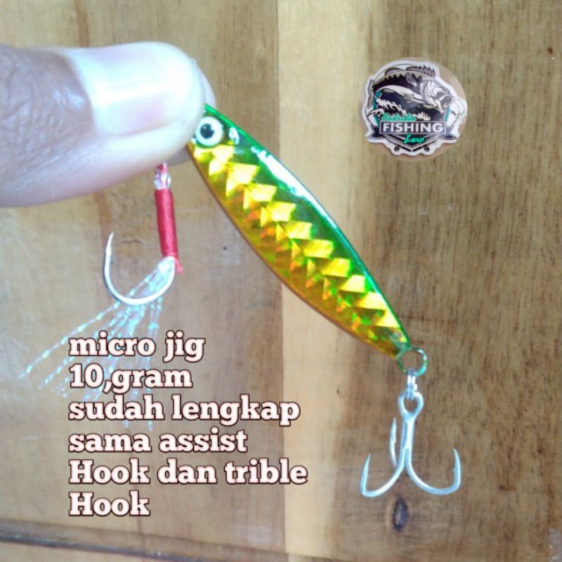 micro jig 10 gram