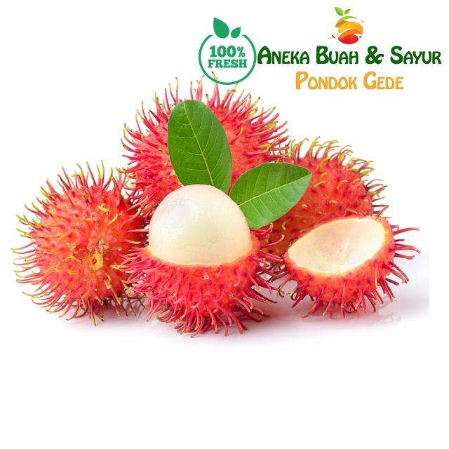 

Buah Rambutan Segar 1 Ikat