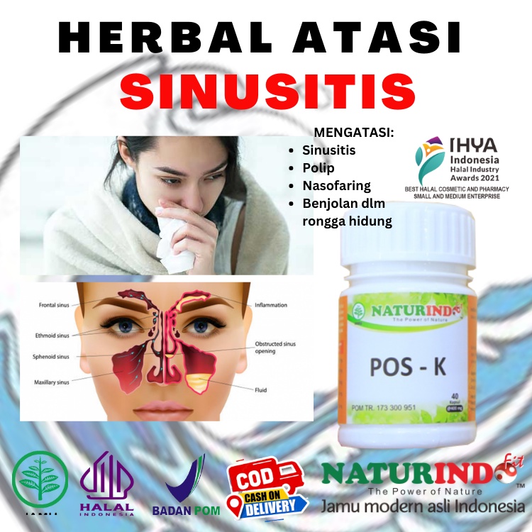 Jual Obat Sinus Sinusitis Polip Benjolan Pada Rongga Hidung Hidung