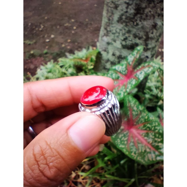 batu rubah merah size cewek