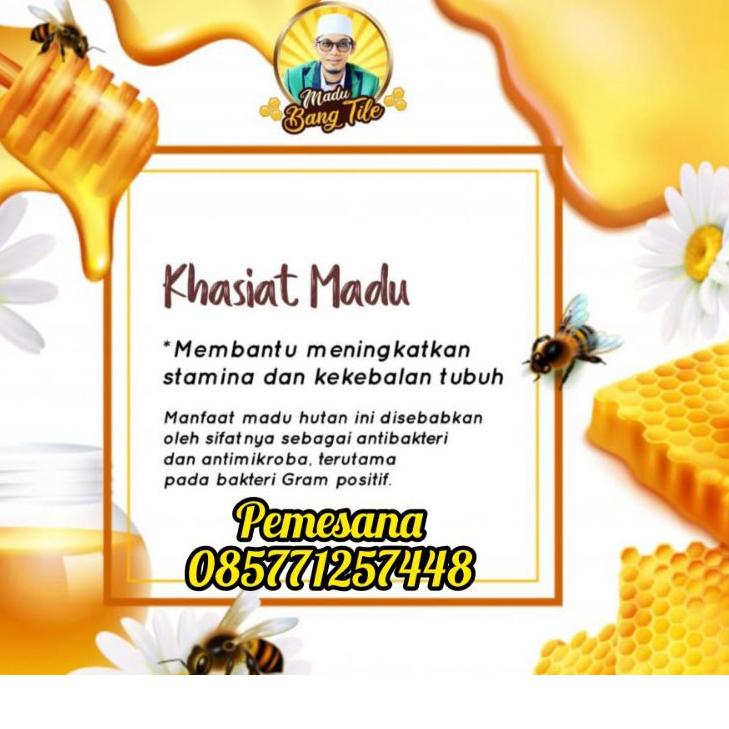 

Oke Price Madu Asli Bang Tile***