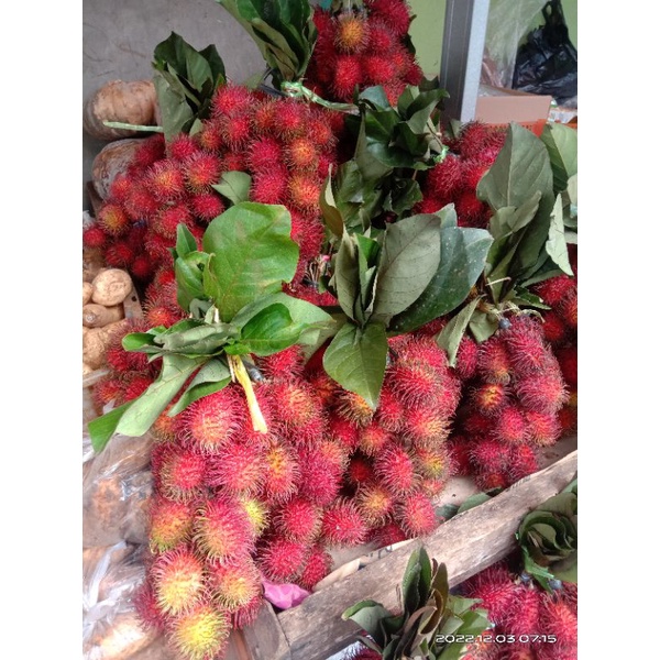 

BUAH RAMBUTAN MANIS 4 IKAT
