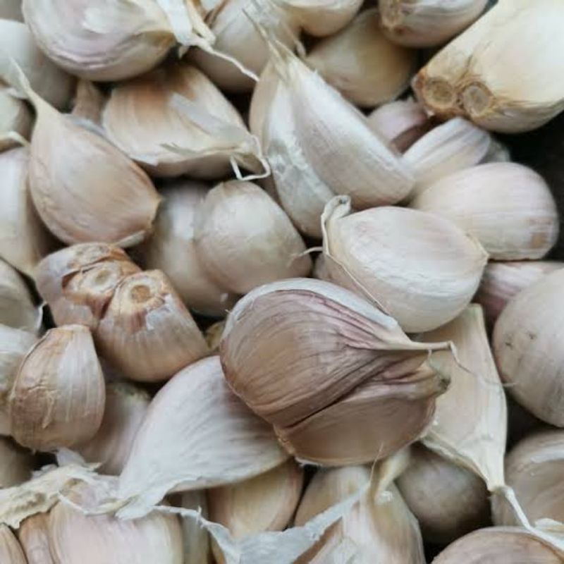 

bawang putih kating / garlic 500 gr