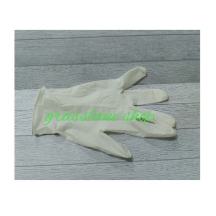 Sensi Glove Sarung Tangan Latex Examination Gloves 100 pcs Powdered