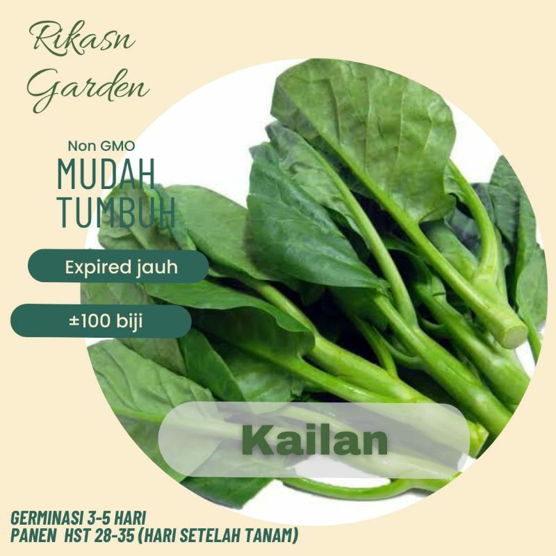KHUSUS BATAM, BARELANG, BELAKANG PADANG Benih biji bibit kailan kale