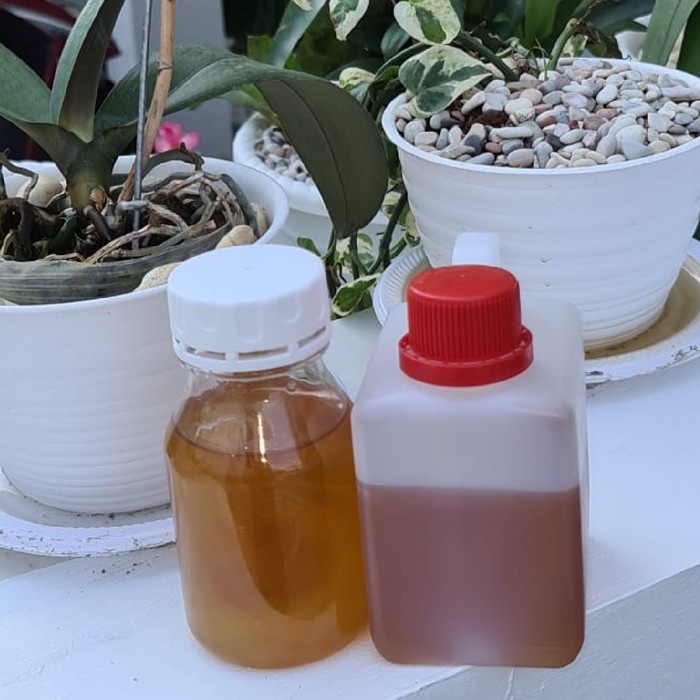 

Madu Kelengkeng Curah Isi Bersih 500g