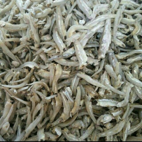 

Ikan Teri Jengki Berkualitas - 100 Gram