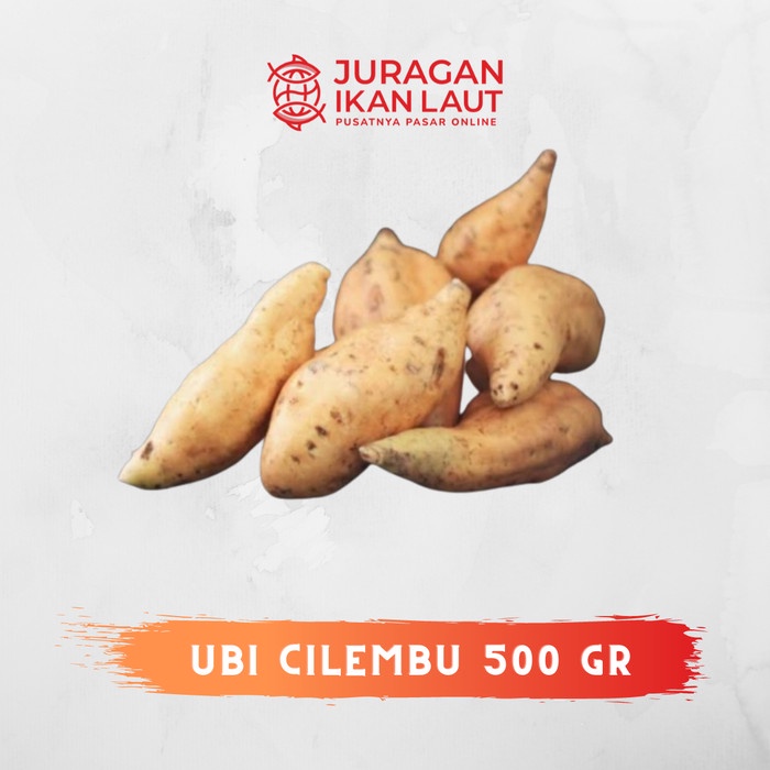 

Ubi Cilembu Berkualitas - 500 Gram