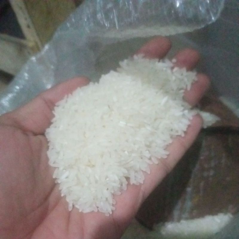 

Beras Rojo lele
