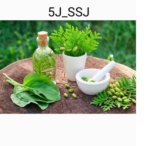 

Barang Baru herbal alami saFtu_j9t /5j banyak manfaat isi 10**