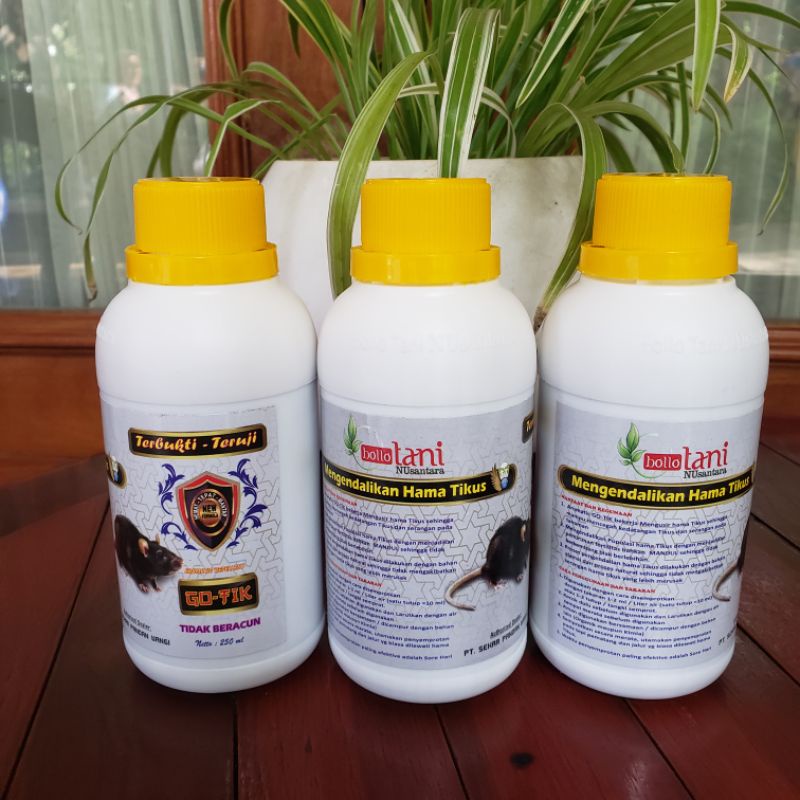 GOTIK Obat Tikus (Bollo Tani) ASLI 100%