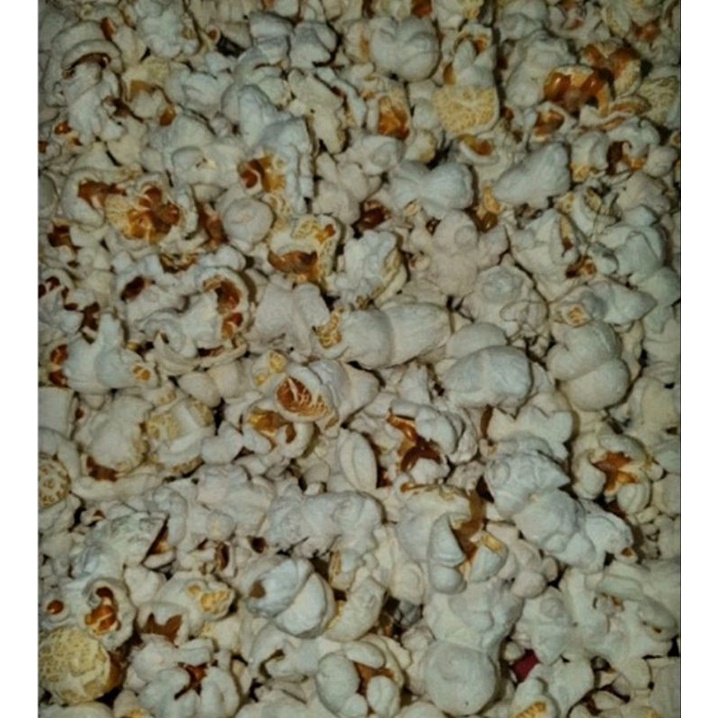 jagung popcorn 05 berondong umpan hamster