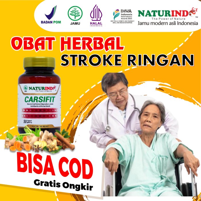 Obat Stroke Ampuh Obat Struk Stroke Herbal Paling Ampuh Obat Struk Lumpuh