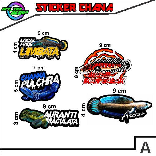 Sticker Channa Pulchra Limbata Auranti Andrao Awas Ikan Galak 001