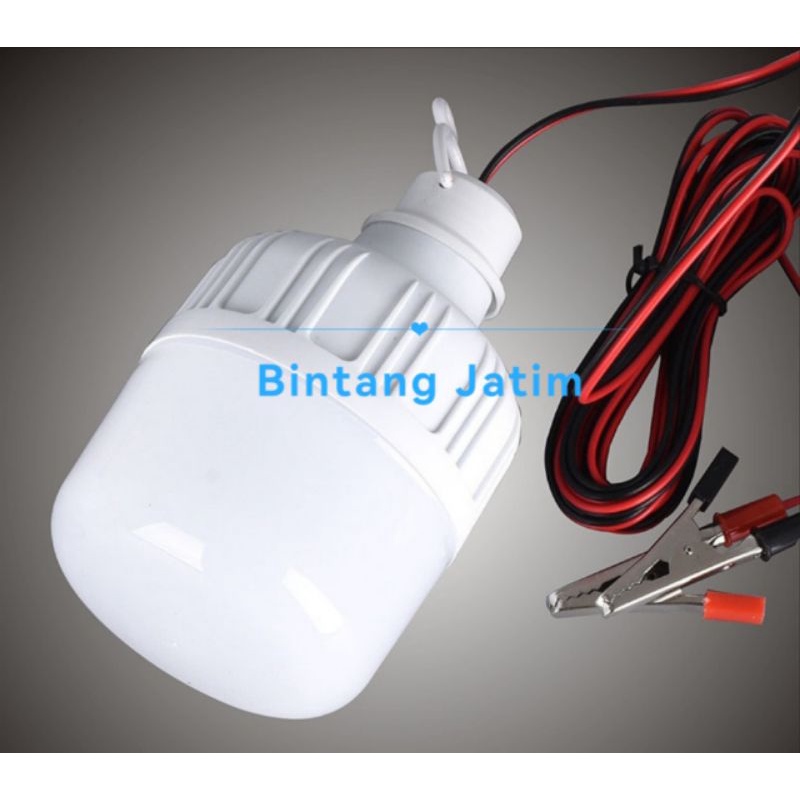 Lampu Bohlam Led Dc 12V Jepit Ke Aki Accu / Baterai  5W 10W 15W 20W 30W 40W