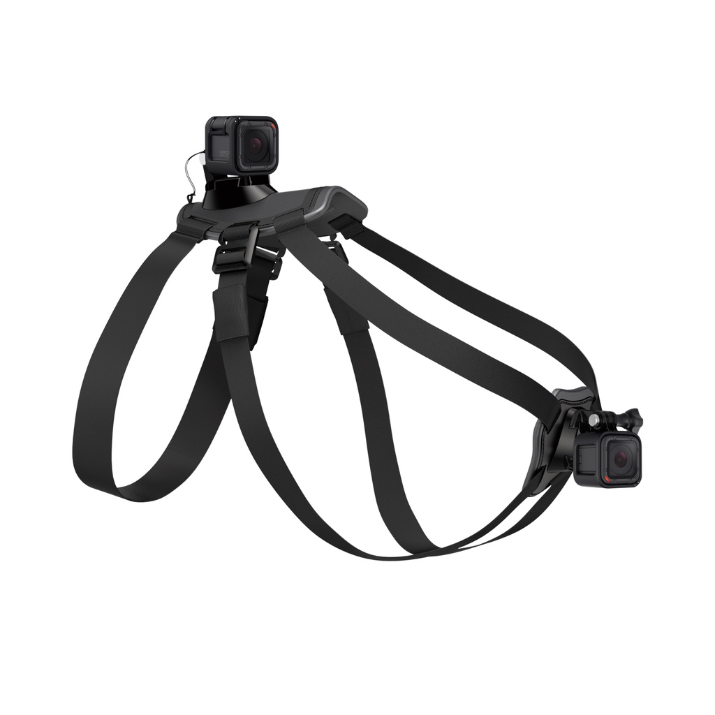 Fetch Dog Harness GoPro (ADOGM-001) - GoPro Hero Acc Fetch Dog Harness