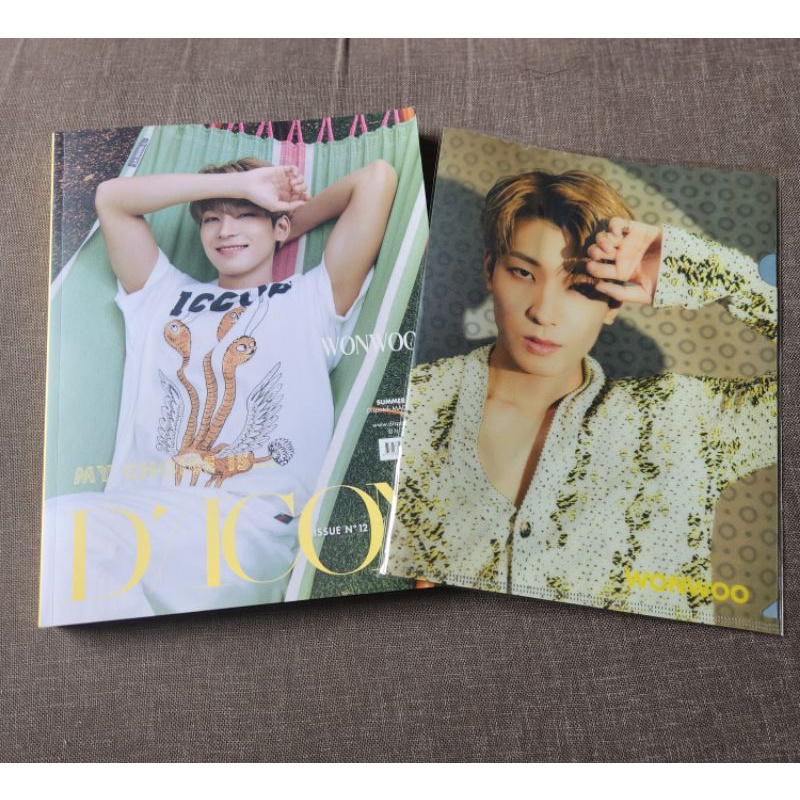 Dicon Seventeen Wonwoo PC Official