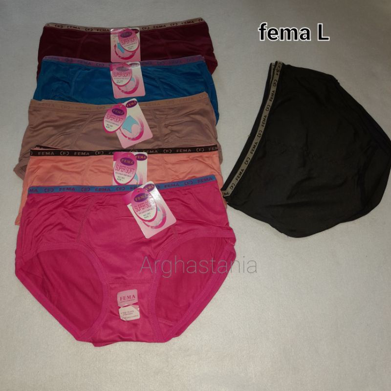 CD fema
