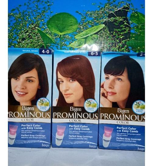 Cuci Gudang--Hair Color Bigen Prominous