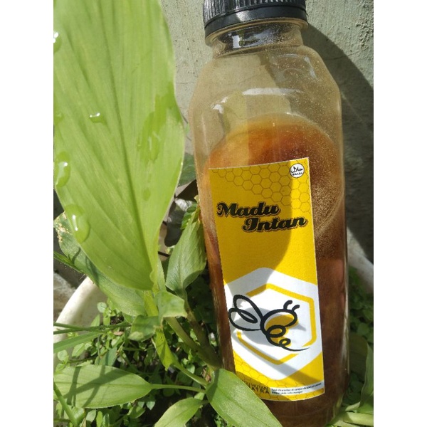 

madu sialang