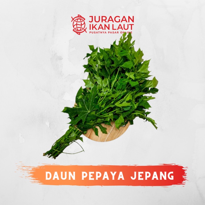 

Daun Pepaya Segar Berkualitas - 1 Ikat