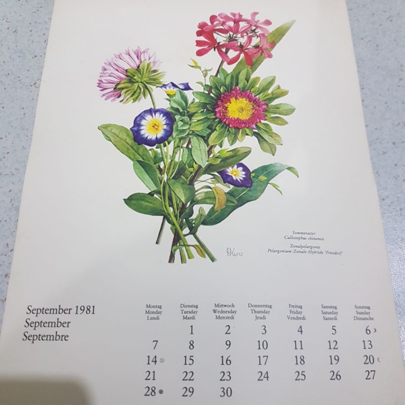 

Kalender asli cetakan 1981 Jerman bulan September 1981 gambar bunga