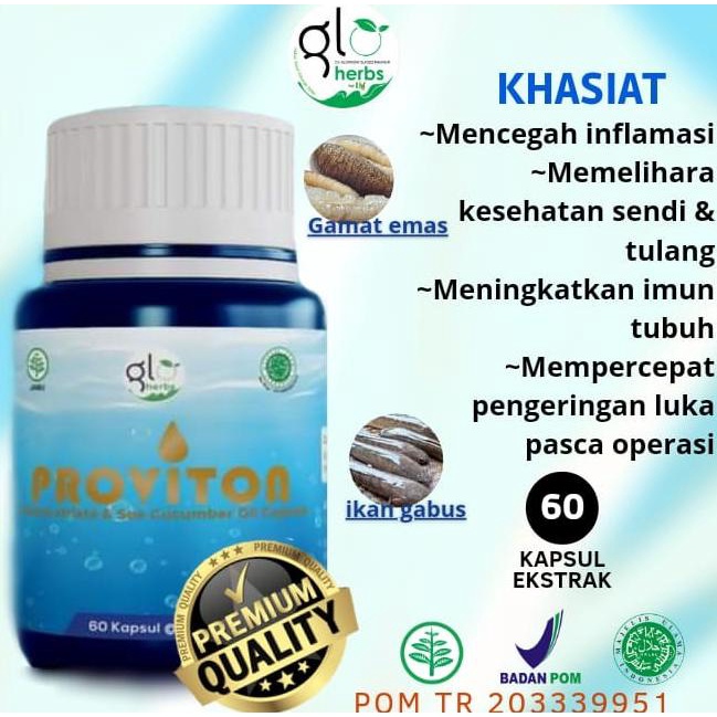 LHI PROVITON-KAPSUL IKAN GABUS + GAMAT