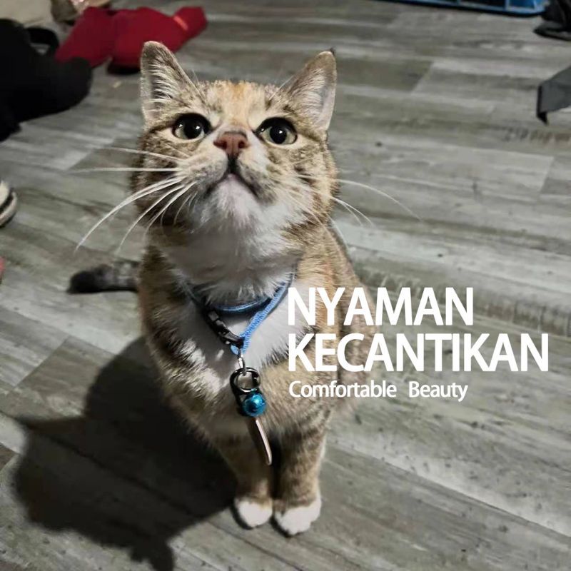 Kalung Kucing Kalung Cats Reflektif Menyala Dalam Gelap Dapat Disesuaikan Aksesoris Hewan Peliharaan FEFARM