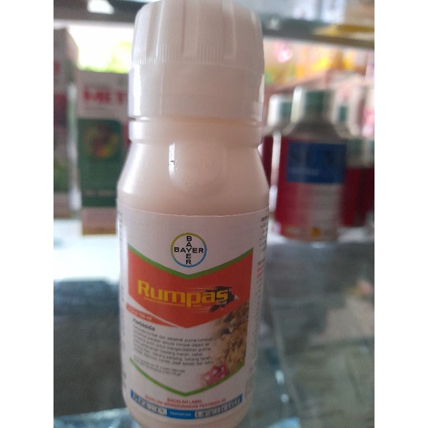 rumpas