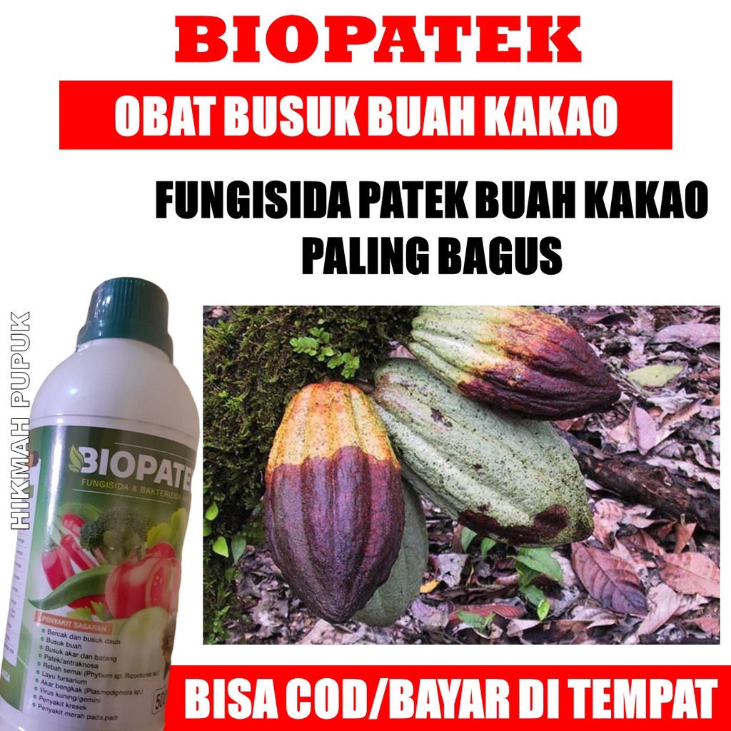 Fungisida Biopatek Obat Hama Patek Kakao Mengatasi Hama Penyakit 100% pada Coklat dengan sempurna - 