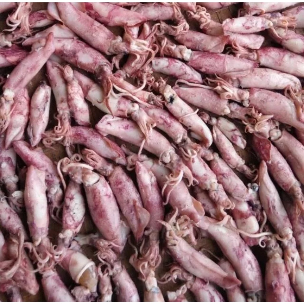 Cumi sotong kering 1 kg