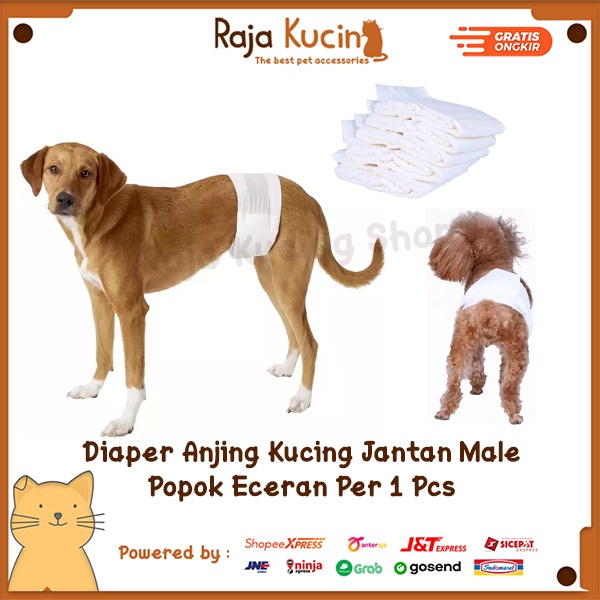 Diaper anjing kucing jantan male diaper popok anjing kucing eceran