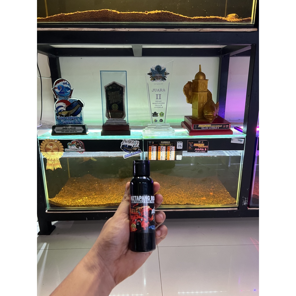 EKSTRAK KETAPANG BOS 100 ml ( KETAPANG LAUT LUMER BLACK WATER PROGRESS CHANNA)