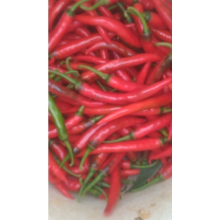 

CABE MERAH BESAR 1 KG