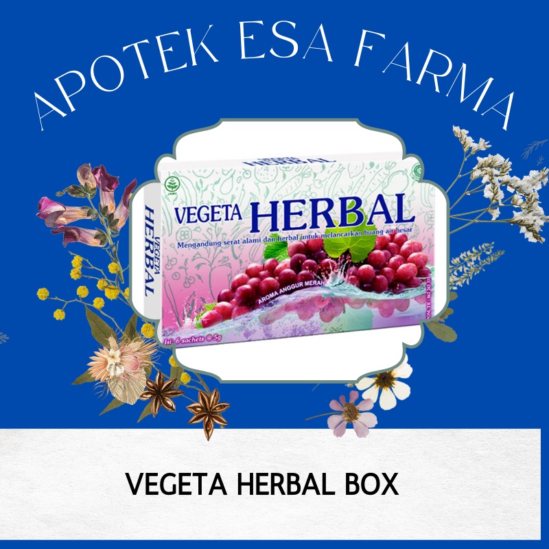 

Vegeta Dus 6 Sachet Herbal 5 g