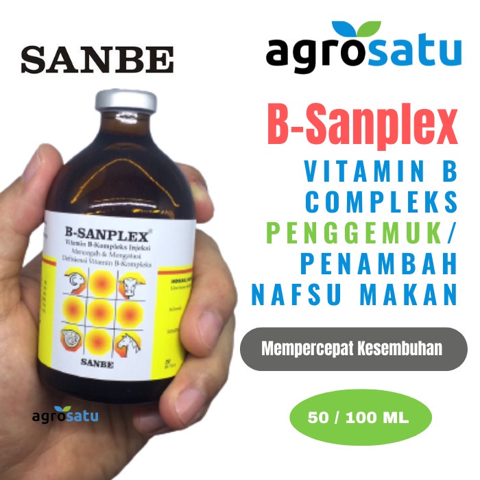 Jual Vitamin B Complex Hewan B Sanplex Injeksi 100ml Sanbe / Vit B ...