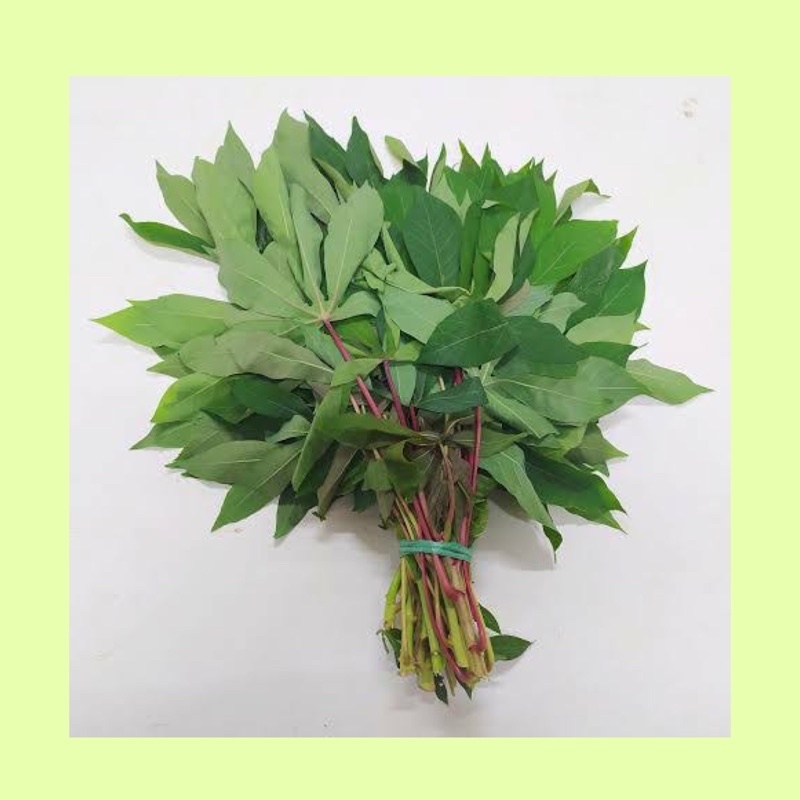 

Daun singkong / daun singkong fresh