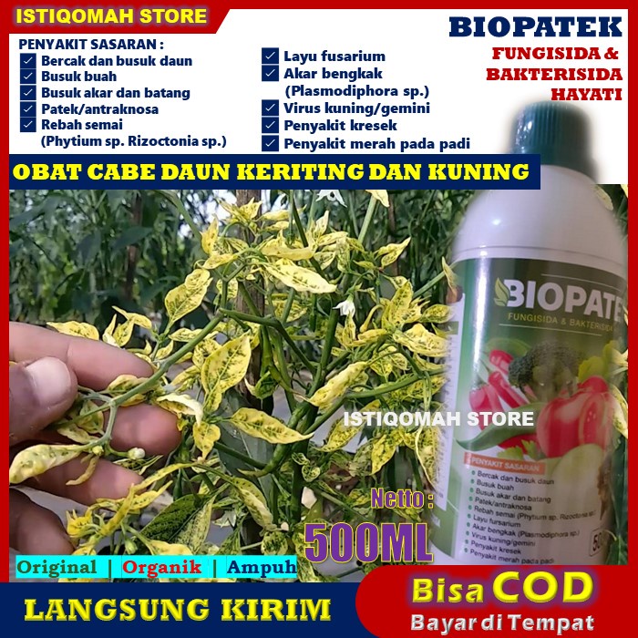 BIOPATEK 500ML Fungisida &amp; Bakterisida Hayati Mengatasi Penyakit Kresek, Penyakit Merah pada Padi, Virus Kuning/Gemini yang Bagus Manjur Murah Terlaris Paling Ampuh